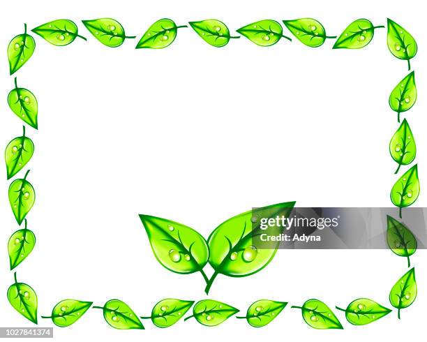 green leaf frame - spring rain stock illustrations