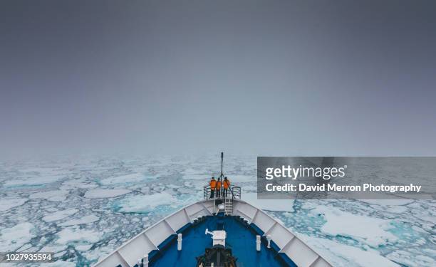 sea ice edge - spitsbergen stockfoto's en -beelden