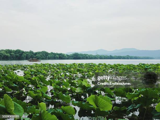 hangzhou west lake - westlake village imagens e fotografias de stock