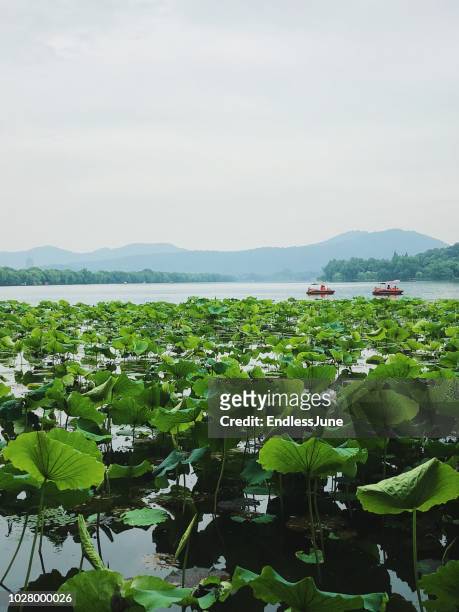 hangzhou west lake - westlake village stock pictures, royalty-free photos & images