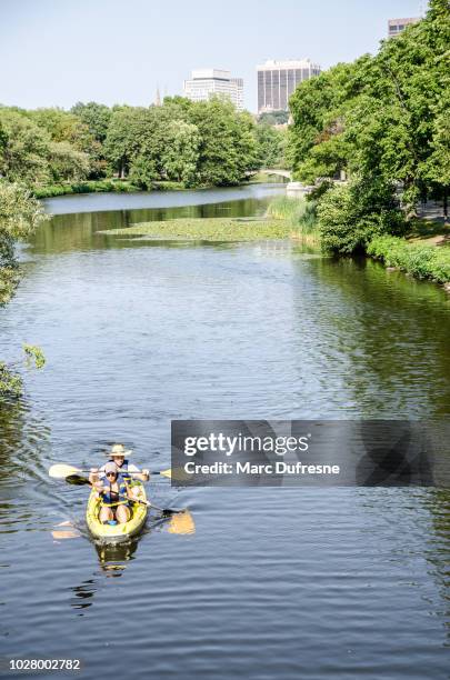 two persons kayaking on the charles river in boston during summer day - boston massachusetts summer stock pictures, royalty-free photos & images