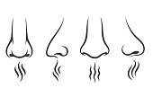 Nose smell icons