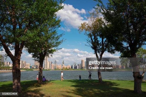 newly developed downtown center of xiasha,hangzhou,china - rural housing stock pictures, royalty-free photos & images