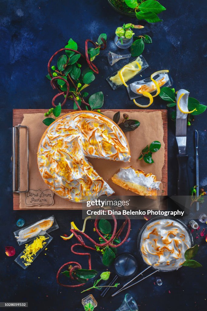 Lemon tart with meringue, leaves and botanist tools on a dark background. Pastry herbarium with wooden clipboard and laboratory glassware. Dessert anatomy concept