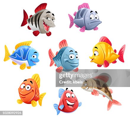 Cute Fish Cute Fish