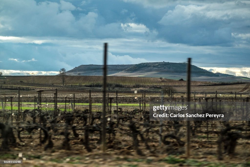 Vineyards in Spain