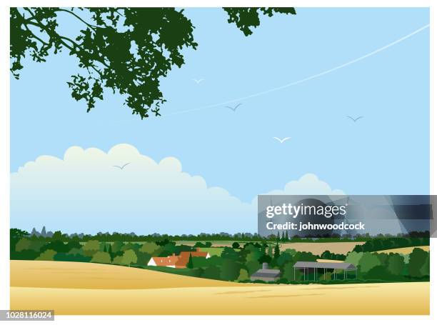 stockillustraties, clipart, cartoons en iconen met kleine engels zomer landschap - east anglia