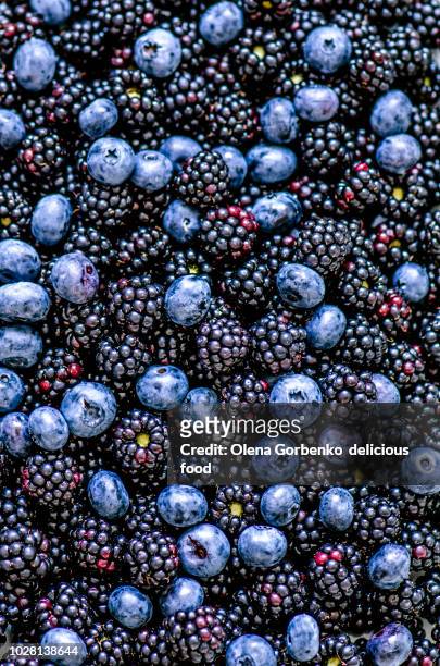 background of blueberries and blackberries - bosbes stockfoto's en -beelden