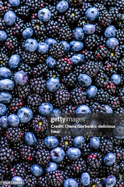 background of blueberries and blackberries - blackberries stock pictures, royalty-free photos & images