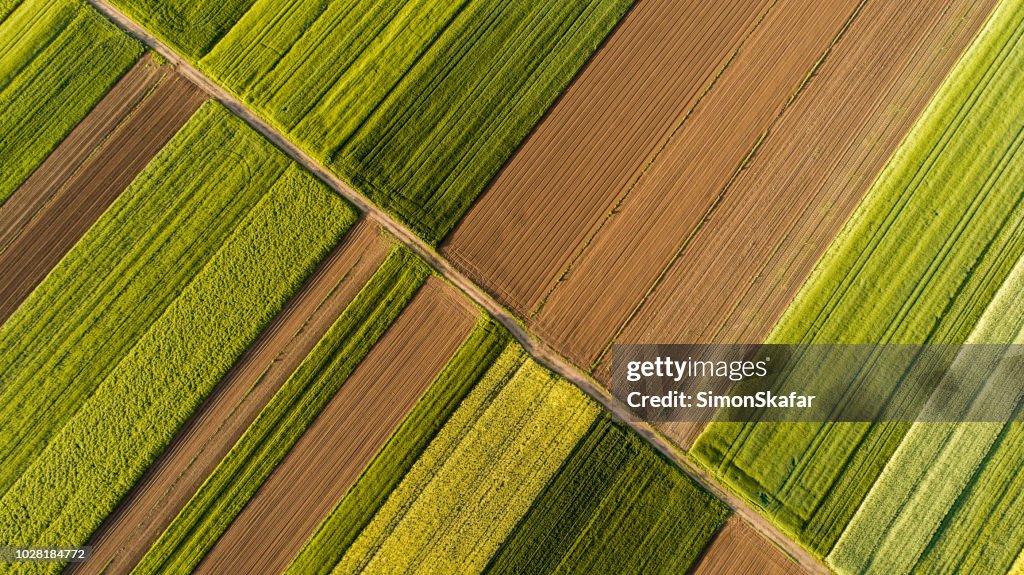 Aerial view of fields