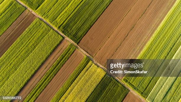 aerial view of fields - agricultural field stock pictures, royalty-free photos & images