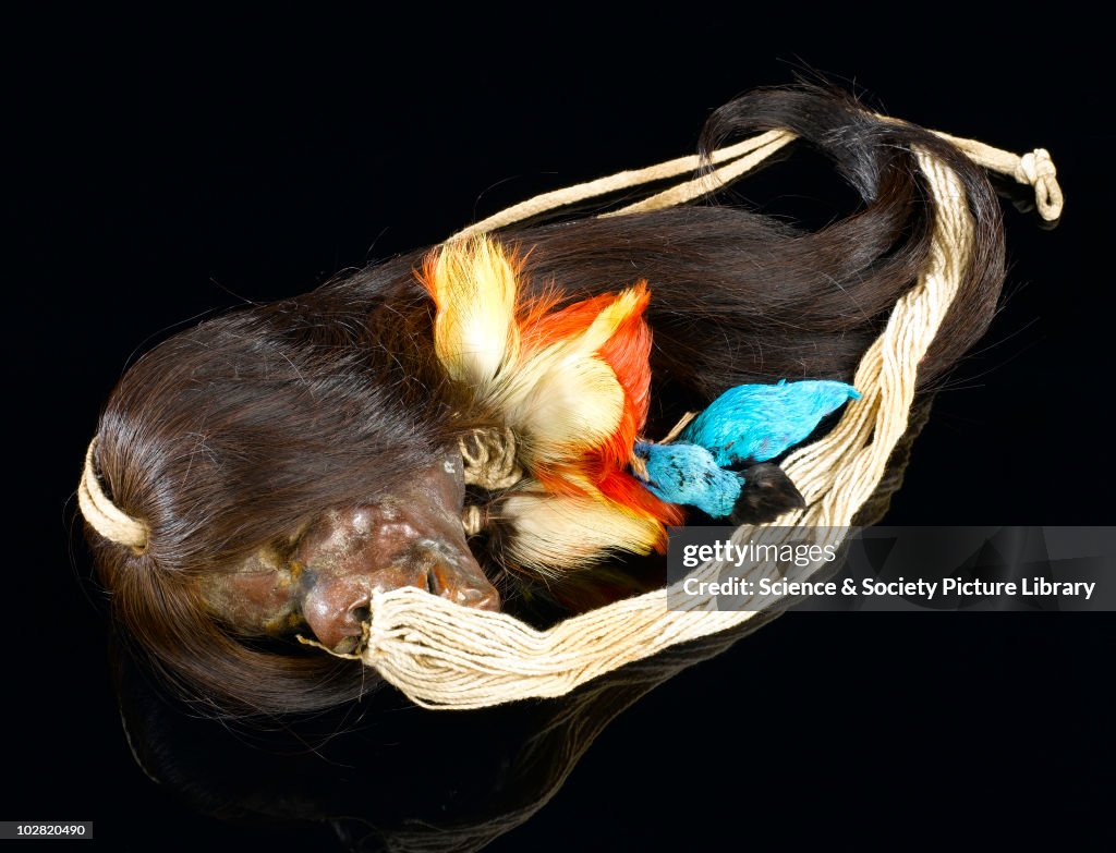 Shrunken head with long hair, decorated with bird's heads, by Jivaro tribe. Ecuador.