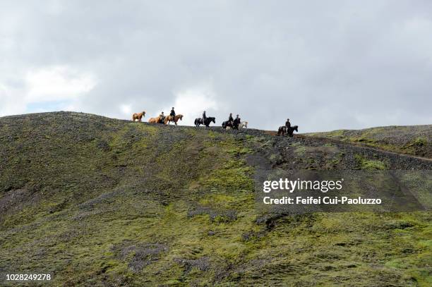 ranch sorting at landmannalaugar area, iceland - landmannalaugar stockfoto's en -beelden