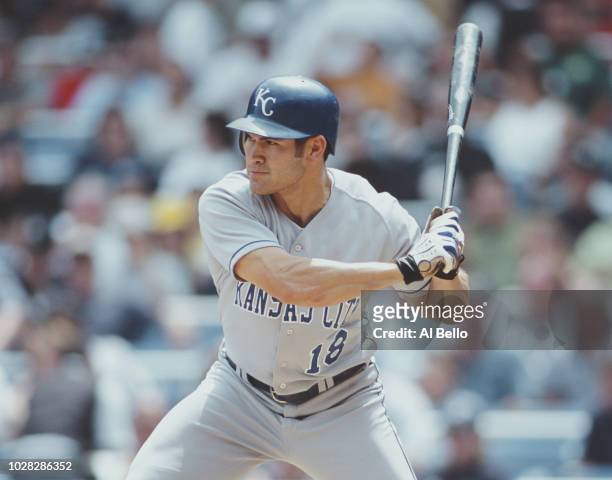 Johnny Damon, Designated Hitter for the Kansas City Royals at bat during the Major League Baseball American League East game against the New York...