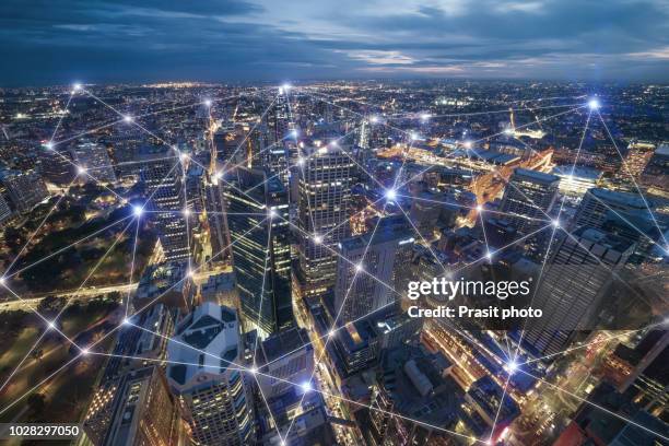 smart city and connection lines. internet concept of global business in sydney, australia. - sydney cityscape bildbanksfoton och bilder