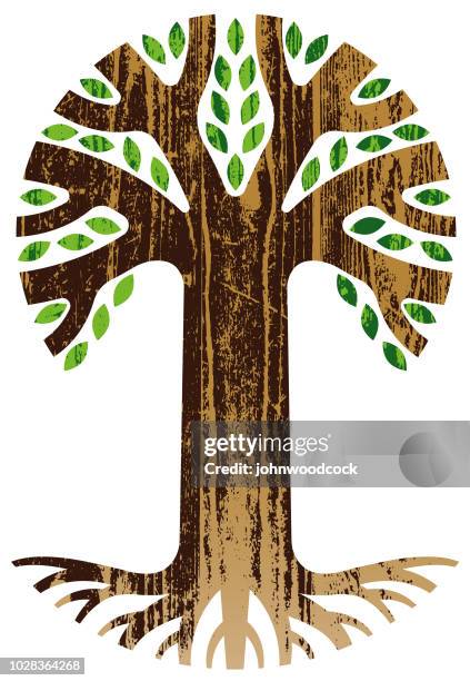 hohen woodgrain-struktur - tree rings stock-grafiken, -clipart, -cartoons und -symbole