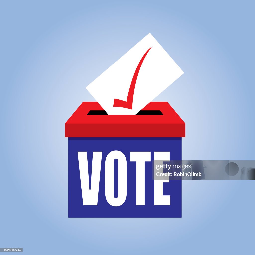 Ballot Box Icon