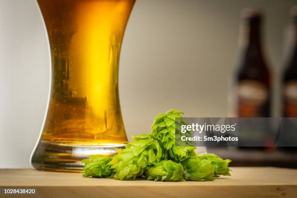 fresh organic hops and glass of beer with copy space - fotoshop stockfoto's en -beelden