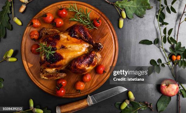 overhead view of chicken and thanksgiving decorations - chicken decoration stock-fotos und bilder