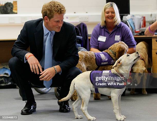 Prince Harry watches Una, a labrador puppy being trained during a visit to the charity Canine Partners Training Centre on July 13, 2010 in Midhurst,...