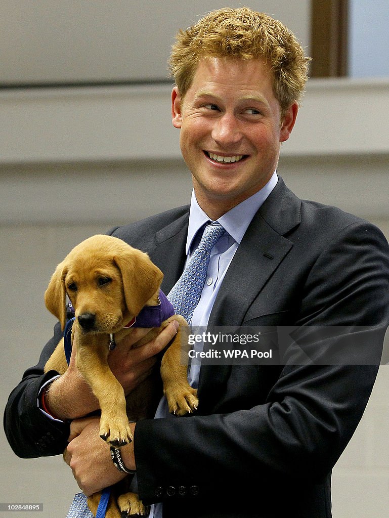 Prince Harry Visits Canine Partners Organisation