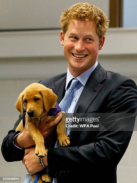 Prince Harry holds an eight week old puppy called Veyron during a visit to the charity Canine Partners Training Centre on July 13, 2010 in Midhurst,...