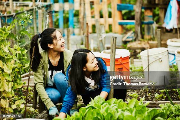 Laughing young women volunteering in community garden