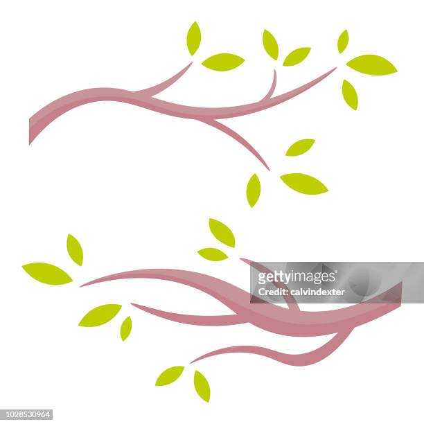 ilustraciones, imágenes clip art, dibujos animados e iconos de stock de hojas y ramas de elementos de diseño de naturaleza - linda rama