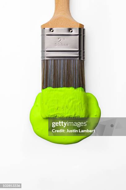 lime green paintbrush - fluorescent paint stock pictures, royalty-free photos & images