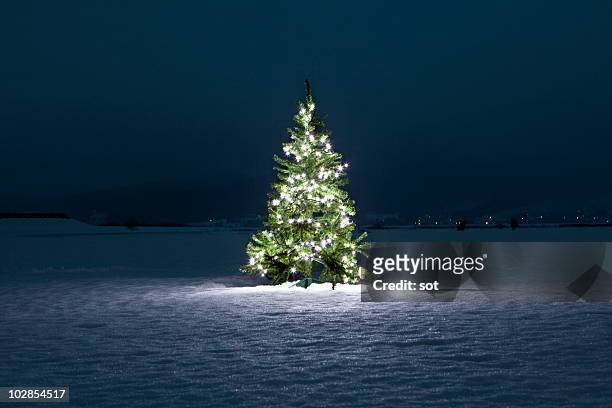 illuminated christmas tree on the snow at night - schnee stock-fotos und bilder