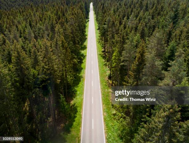 straight road through a forest - asphalt von oben stock-fotos und bilder