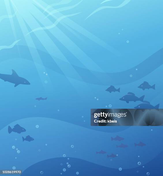 ilustraciones, imágenes clip art, dibujos animados e iconos de stock de fondo submarino - swimming