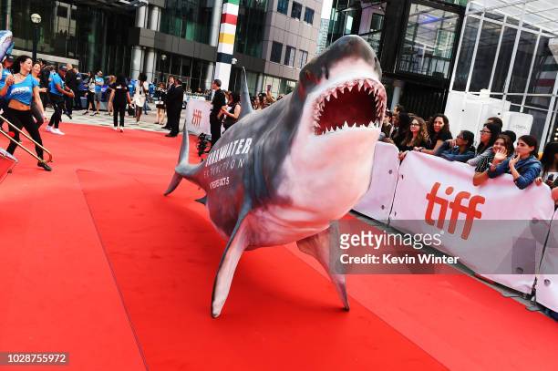 Shark model is seen during the "Sharkwater Extinction" premiere during 2018 Toronto International Film Festival at Roy Thomson Hall on September 7,...