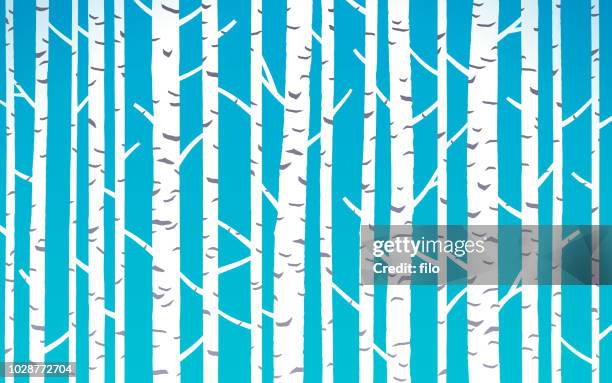 birch trees background - birch pattern stock illustrations
