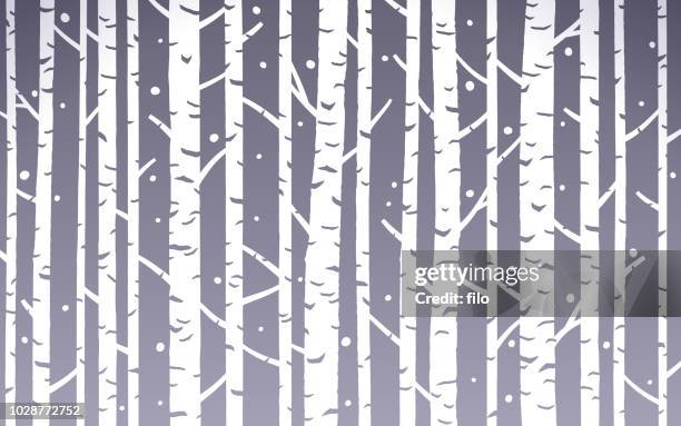 birke baum abstrakte winter hintergrund - birch forest stock-grafiken, -clipart, -cartoons und -symbole