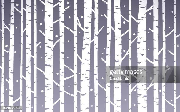 白樺ツリー背景冬 - birch forest点のイラスト素材／クリップアート素材／マンガ素材／アイコン素材