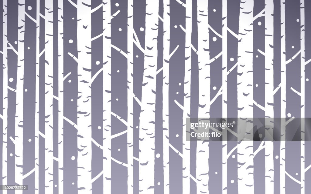 白樺樹抽象冬�季背景