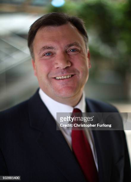 Labour Party leadership candidate Ed Balls poses for a portrait in Portcullis House, Westminster on June 15, 2010 in London, England. Ed Balls, David...