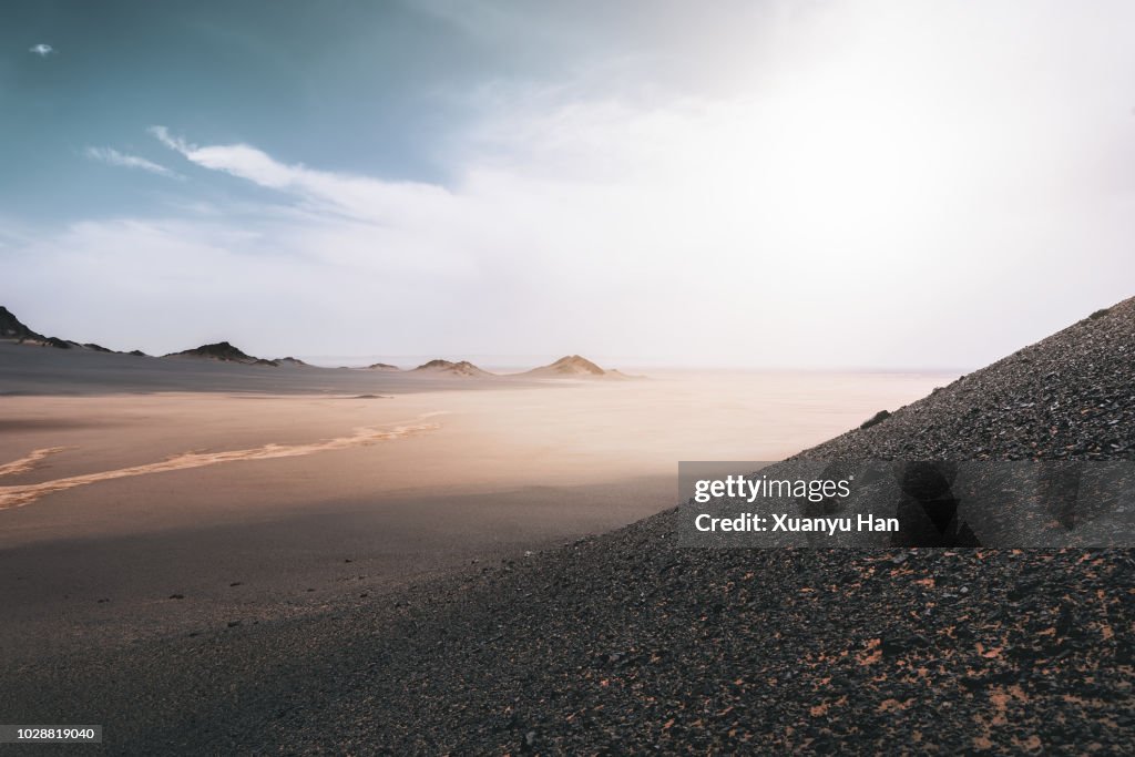 Desert landscape