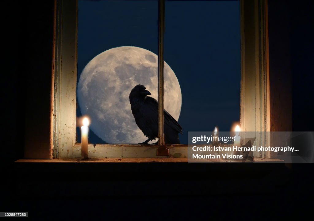 Raven Windows Window To The Moon And Raven High-Res Stock Photo - Getty Images