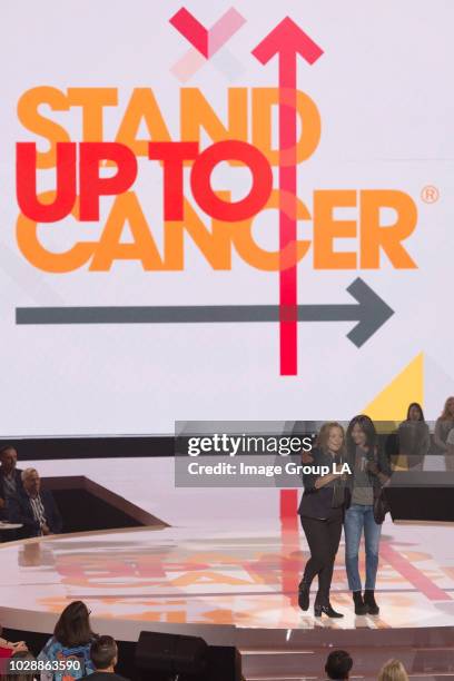 Featuring performances from top recording artists, and celebrities from film, television and sports, STAND UP TO CANCER will appeal to the public for...