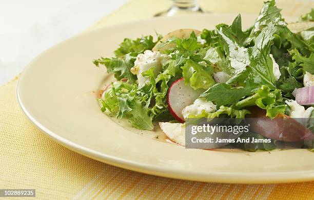 radish, apple and mozzarella salad - mozzarella fotografías e imágenes de stock