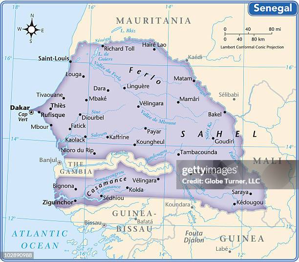 ilustrações, clipart, desenhos animados e ícones de senegal country map - senegal