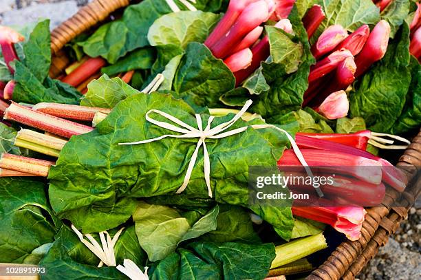 close-up of bunches of rhubarb in basket - rabarber stockfoto's en -beelden