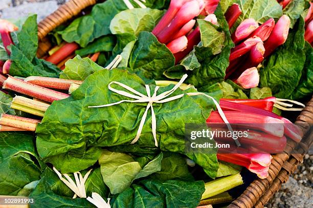 close-up of bunches of rhubarb in basket - rhubarb stock pictures, royalty-free photos & images