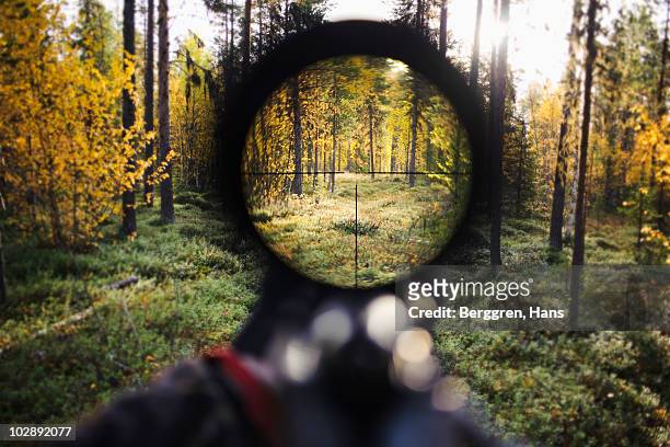 view of trees through rifle sight - rifle stock-fotos und bilder