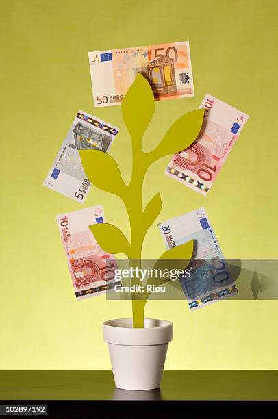 money on a tree. - 10ユーロ紙幣 ストックフォトと画像