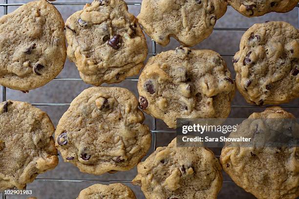 on the rack - chocoladekoekje stockfoto's en -beelden