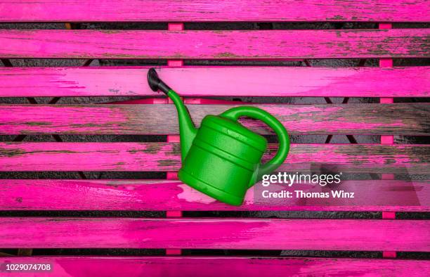 watering can - gießkanne stock-fotos und bilder