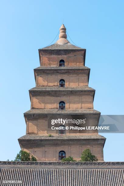 big wild goose pagoda - dayanta tower against blue sky in xi'an - xi'an stock-fotos und bilder